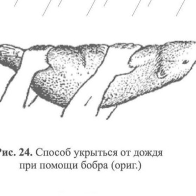 Лапочки на палочках