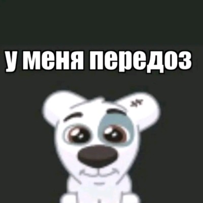 Sasniemalchiki
