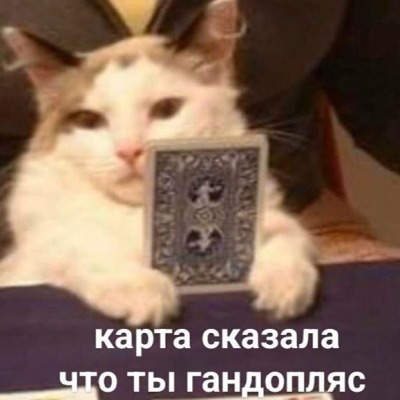Шо_за_пиздэц