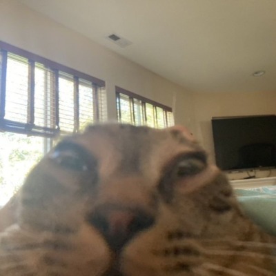 qwrtis