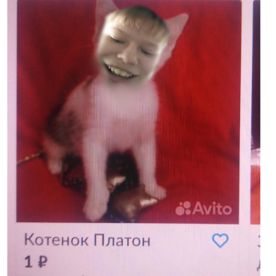 И сказал плотно