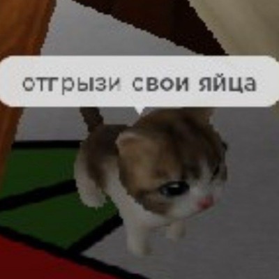 Я_лох_пиздец