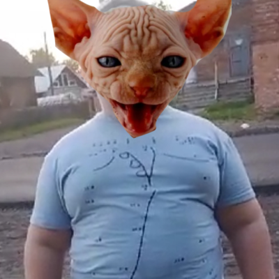 Лиси котенок