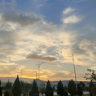 alinapogosyan10