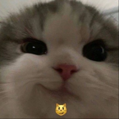 maan