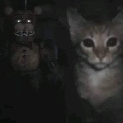 Ieii