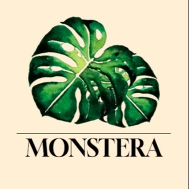 MONSTERA