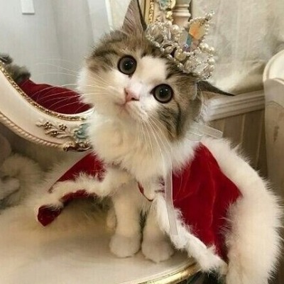 лалипоп