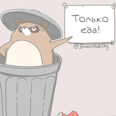 Сладкий енот