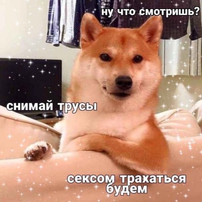 KoPACuK