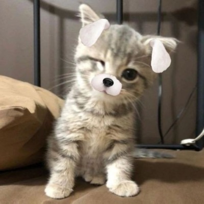 missaxx