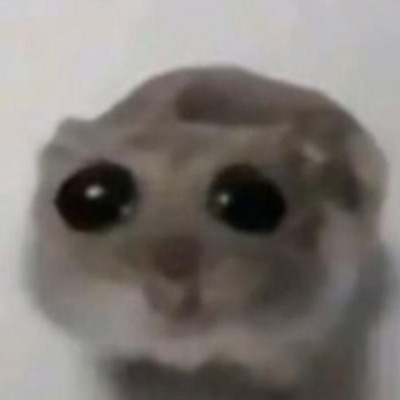 sakuuis
