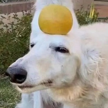 Watson