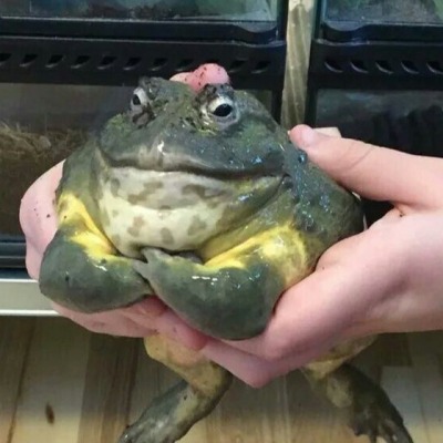 KBA_KBA