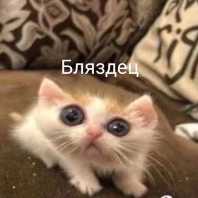 Дебил Дурацкий