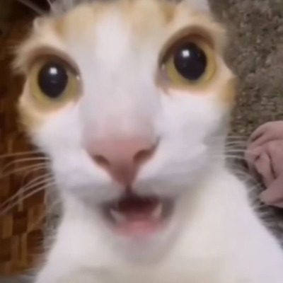 abababu