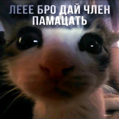 мисаку