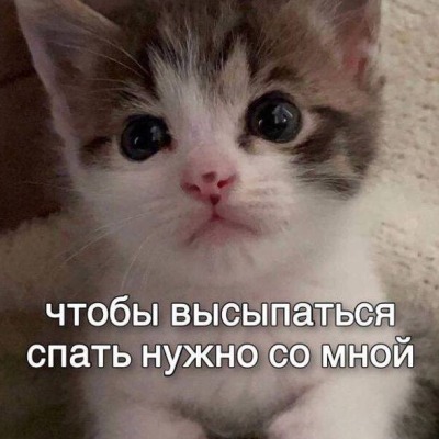 alinajd