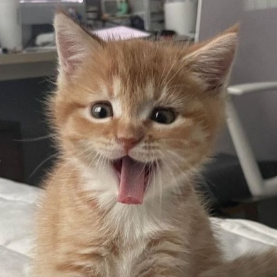 caxap_bez_chaya1