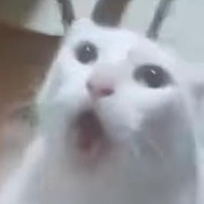Пельмешка0
