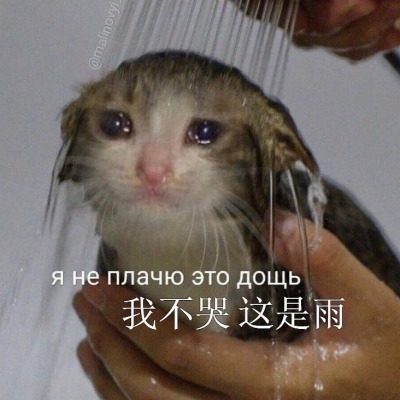 pupupluto