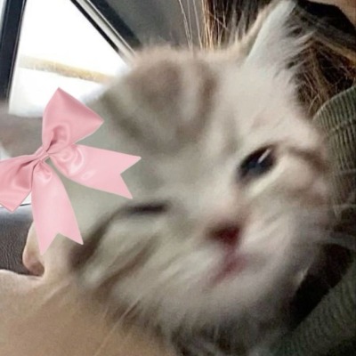 ksuuwwqwz