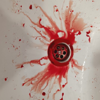 BloodSlaywer
