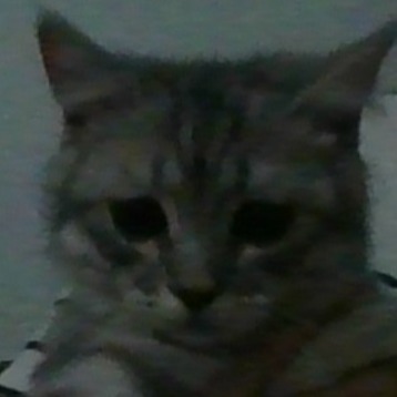 yumba