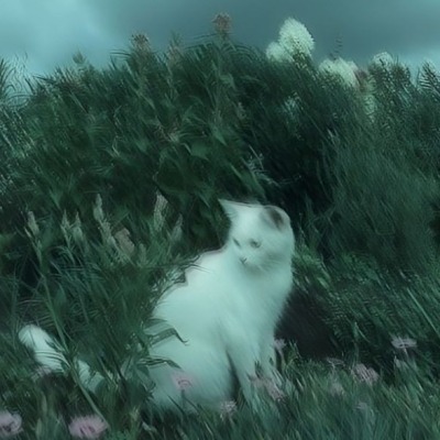 Бродягаа