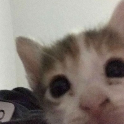 bubuubuub