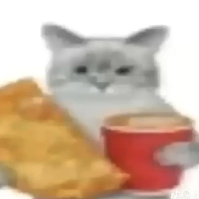 vven_xx