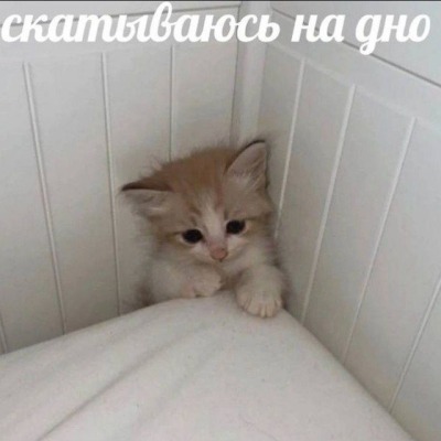 самосвальчик
