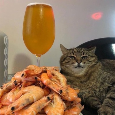 Kitimore