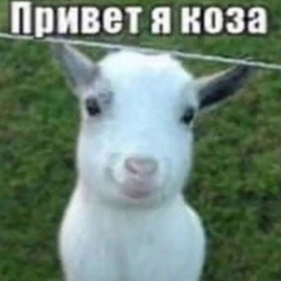 беееееэ