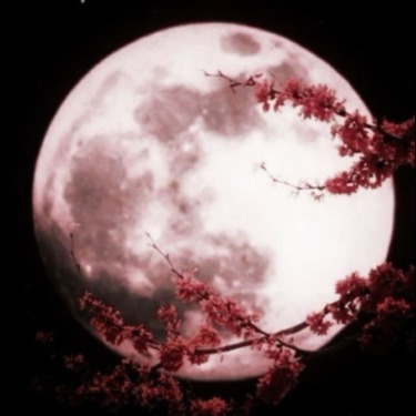 Moon lovers