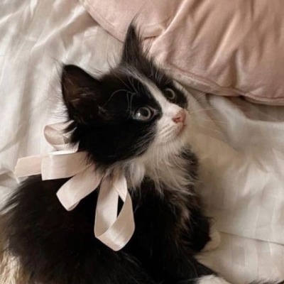 Anika_ee