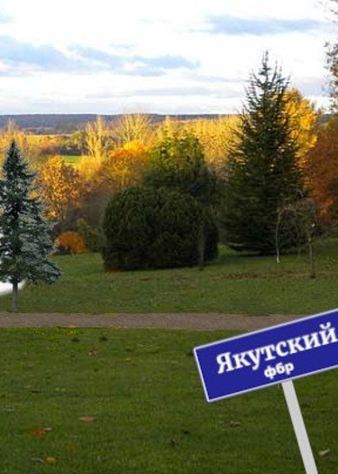 Yakut FBI Office