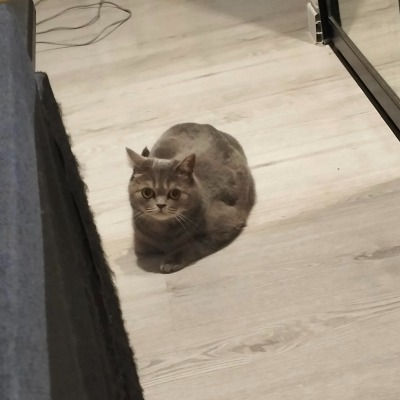 бездомный алкоголик