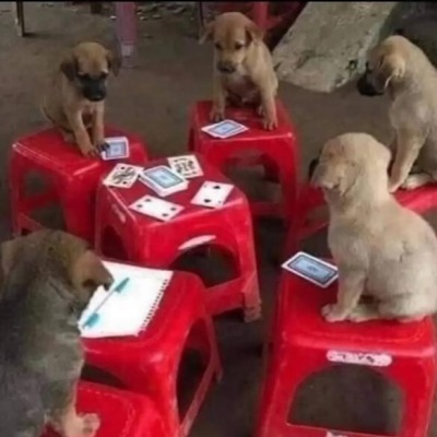 чезабретто_7