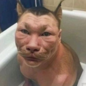дауникс