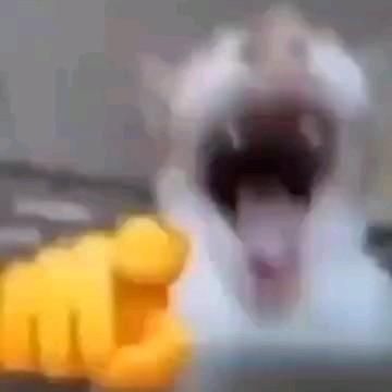 баржоми