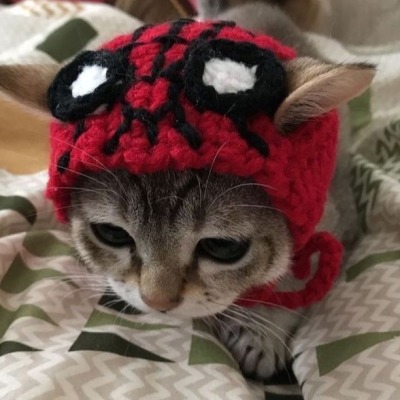 kamalaisu33