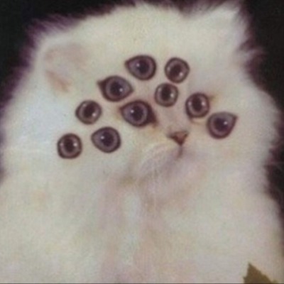 catrixiS
