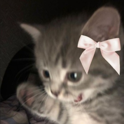 meоw_meow