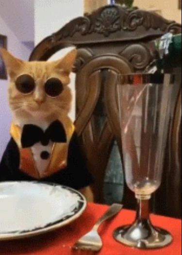 Catvolution
