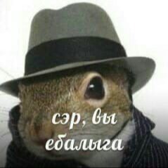 Ебушки_воробушкии