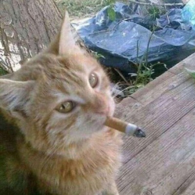 kkui_xD