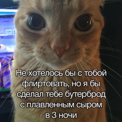 Бубубу_фигушки_тебе
