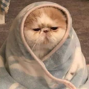 Клей1