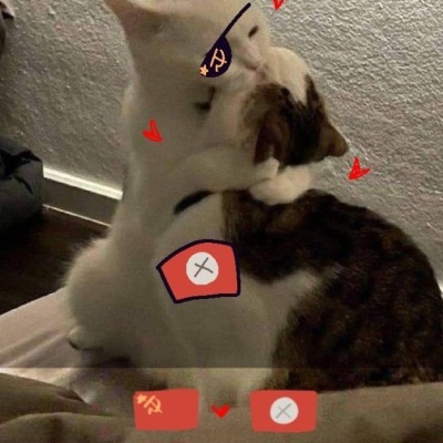 вишнёвый пудинг